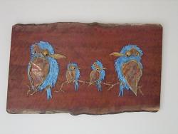 Kookaburras